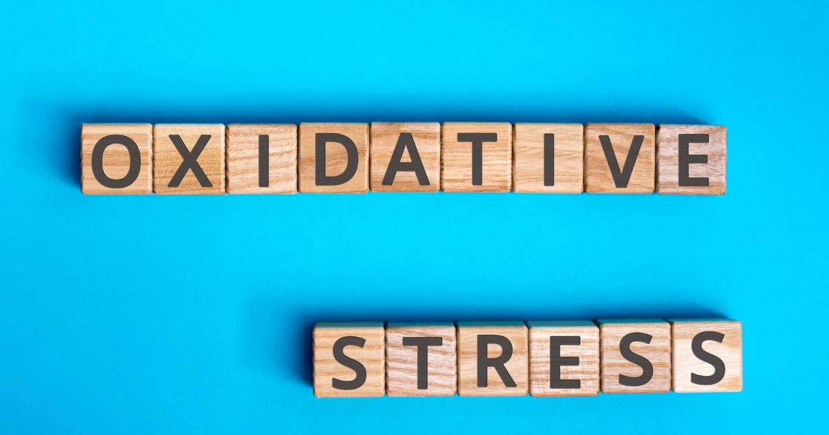 What is Oxidative Stress and How you can Reduce it